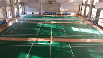 專注品質，服務運動——北京達森運動木地板有限責任公司